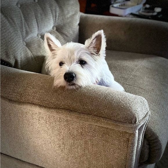 Meet your Posher, Lovada - Picture 9 of 11